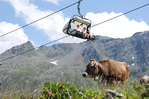 Pärchen in einer Gondel auf einer Seilbahn und Kuh mit Kuhglocke in den Bergen im Sommer